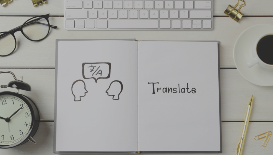 Bozza grafica_Portfolio (12)