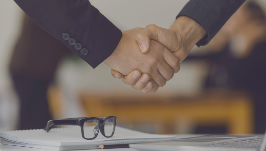 Bozza grafica_Portfolio (15)